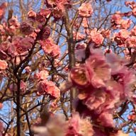 TKGさんのアイコン画像