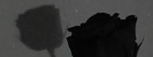 ちぇな 😶‍🌫️🎀さんの壁紙画像