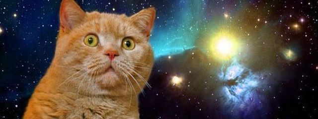 オレレレンジさんの壁紙画像