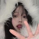 🐰 🌷