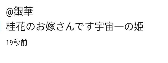 銀華さんの壁紙画像