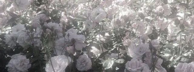 ℛ☆ ⋆ ˳ ꒷ ♡さんの壁紙画像