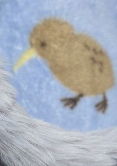 ぬいぬいぬぬぬい