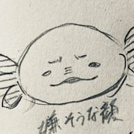 狐雨曇 さんのアイコン画像
