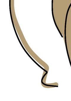 まったくもって、のぞんでません。