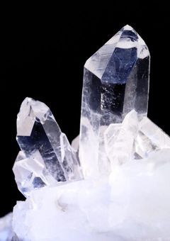 サイキｮウﾁｬﾝハｷﾗｰのコ