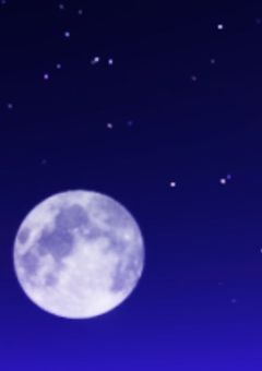 最強の  killer  愛されてるようで