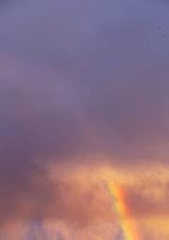 雨上がりの落ちてきた子