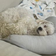 SAYAKAさんのアイコン画像