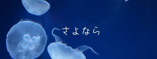 🧣くるくる嵺🍤さんの壁紙画像