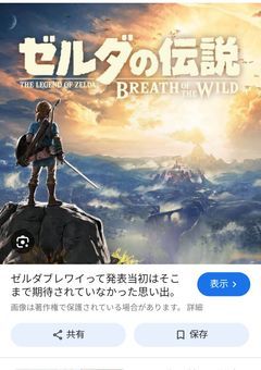 ゼルダの伝説　ブレス　オブザ　ワイルド　番外編の小説