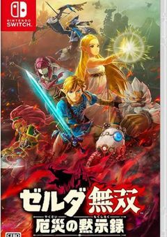 映画ゼルダ無双　〜厄災の黙示録〜　