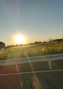 ペットが人間になってました