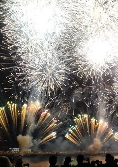 純粋子狐サン　の　雑談　💭