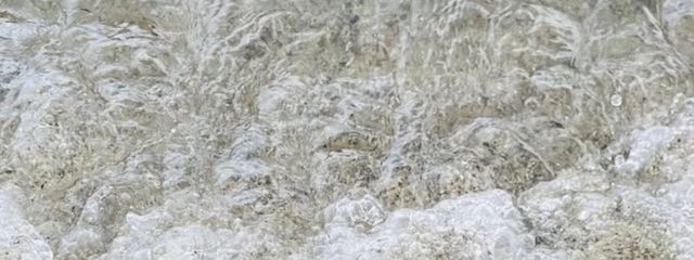 　　✧ 　　甘 籠　あ ぅ　　．さんの壁紙画像