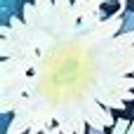 名前考え中さんのアイコン画像