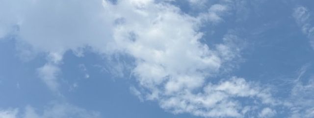 どなつさんの壁紙画像