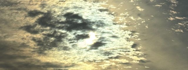 ミルだよー！さんの壁紙画像