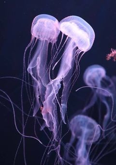 保健医「どこだここは」