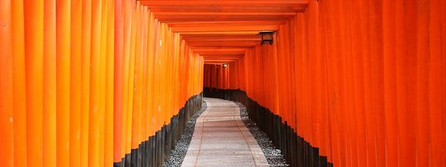 ENTITY303さんの壁紙画像