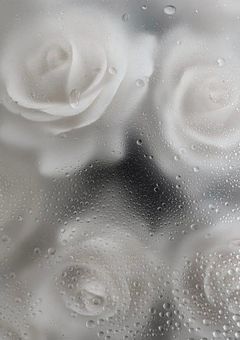 𝙗𝙪𝙗𝙗𝙡𝙚 🫧‪