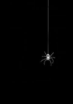 【HUNTER×HUNTER】偶然幻影旅団と出会ってしまったのだがどうしよう