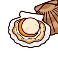 ほたてさんのアイコン画像