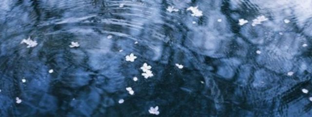 狂瀬  ．@ 活休さんの壁紙画像