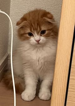 雑談