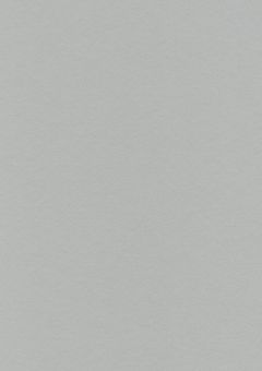 嫌われ仮面少女、仮面を外したら愛されました。