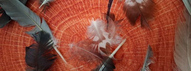 (^^)bさんの壁紙画像