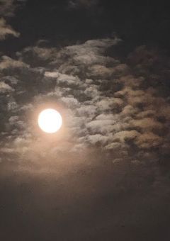 来世では幸せになって欲しい。