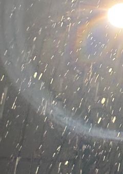 #　消 え ち ゃ わ な い で　｡【🪄】