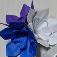 樂黎 結音さんのアイコン画像