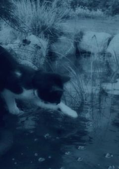 #　おれのかわいいせんせー　.