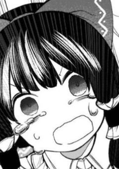 幻想郷の愛され少女、魔法界に行かされて愛される