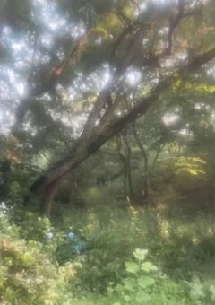 え、魔女っ子退治してたら大正時代にタイムスリップしたんだが！？　【鬼滅＆まどマギクロオバ参加型】