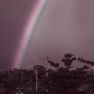 あむさんのアイコン画像