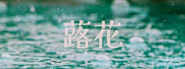 *蕗花*⁠　∮rokka∮　ﾌｫﾛﾊﾞ💯さんの壁紙画像