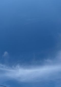 君が居ない世界線______。