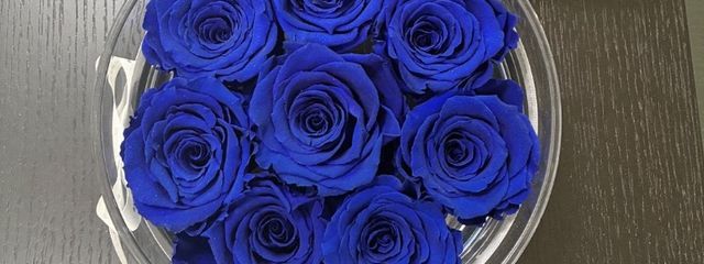 みこさんの壁紙画像