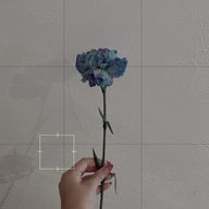 七瀬さんのアイコン画像