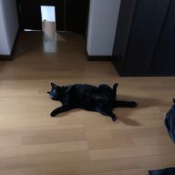 floppyさんのアイコン画像