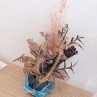 ちーのさんのアイコン画像