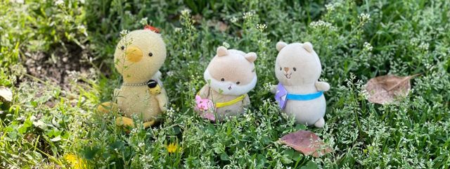 サブの道端の花@なんでこの垢動いてるん？さんの壁紙画像