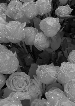 ともだちとフィナンシェ食べました。