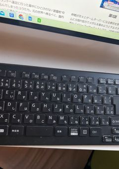 メアリー・スゥーになんてなりたくなかった。