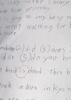 参加系等のキャラシート