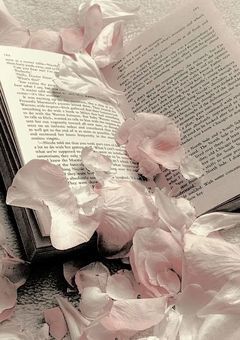 今日も君を好きになる