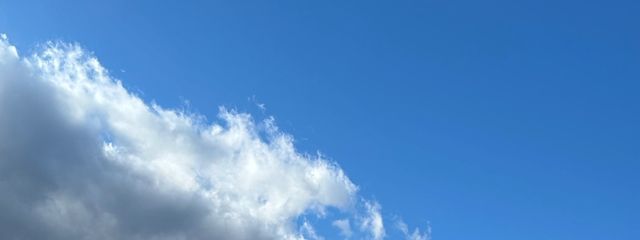 きんきさんの壁紙画像